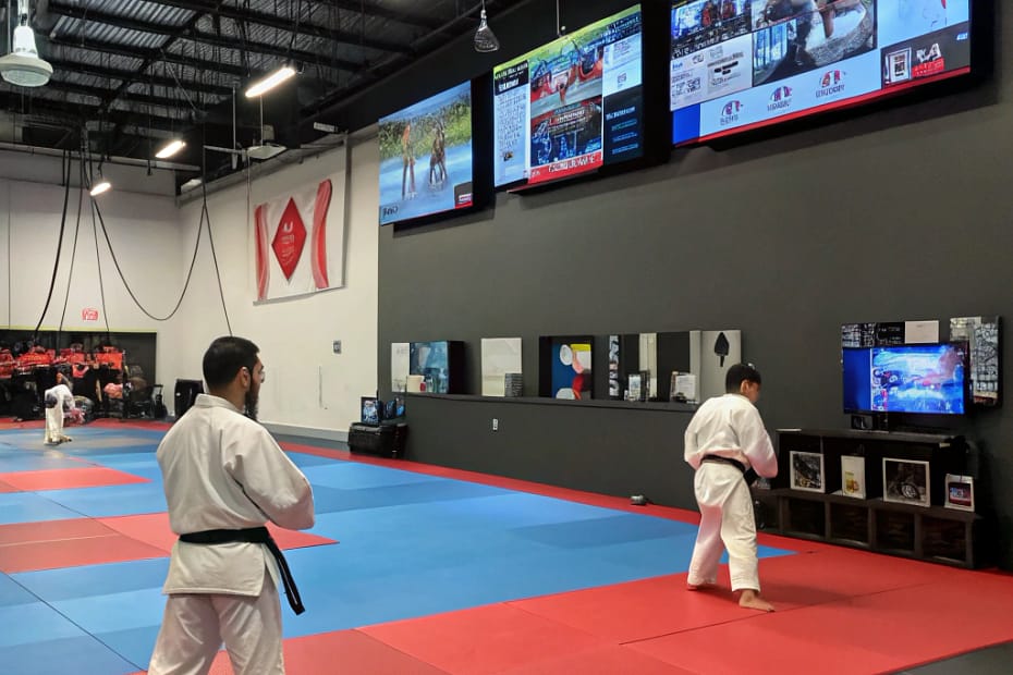 iptv dojo